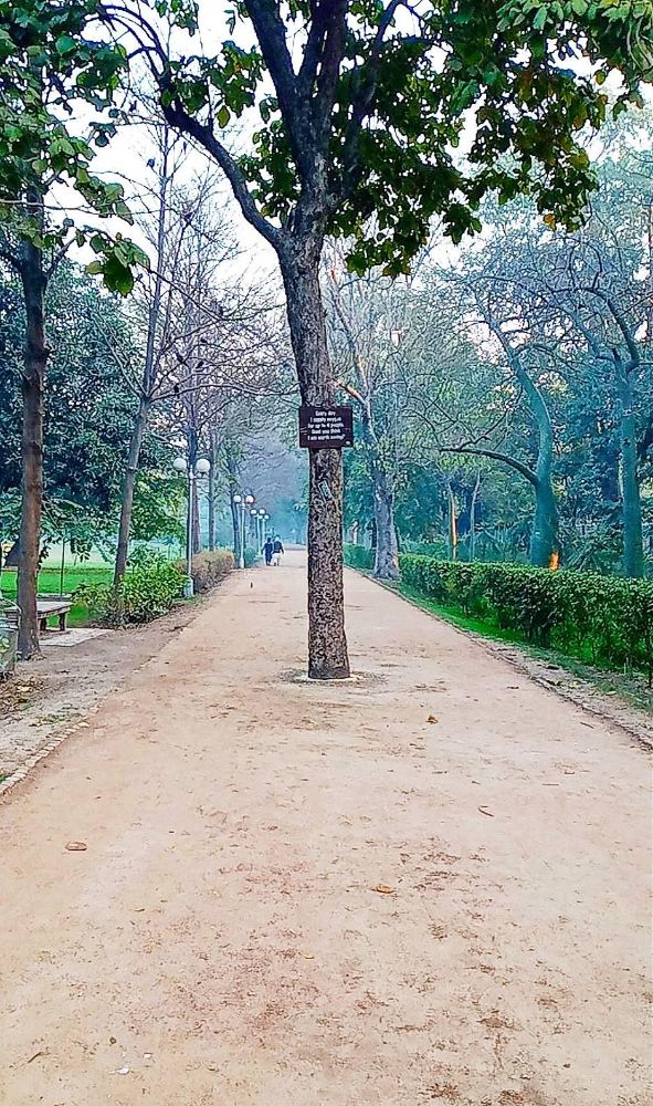 Bagh-e-Jinnah - Lahore Accommodate