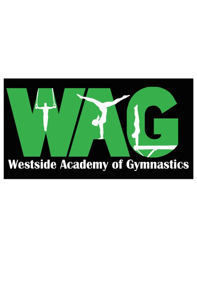 Westside Academy of Gymnastics - Cincinnati Webpagedepot