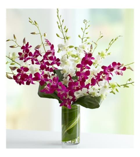 Brickell Glamour Flowers - Brickell Accommodate