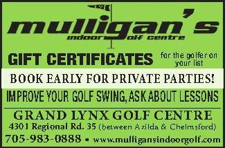 Mulligan's Indoor Golf Centre - Chelmsford Information