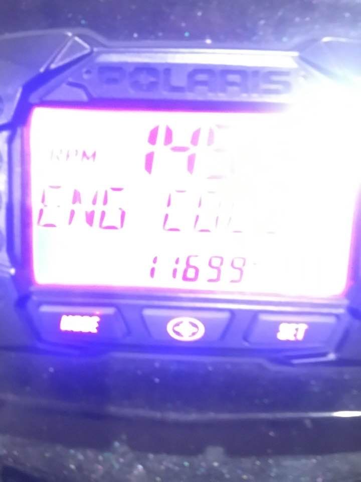 Most Wanted Performance - Jackson Informative