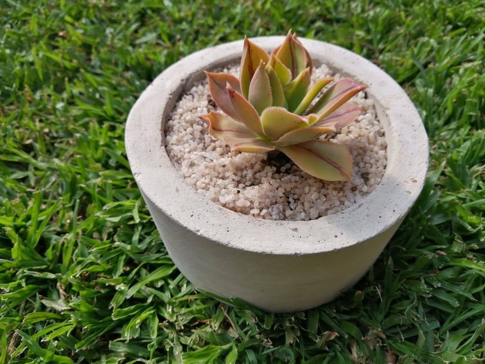 Gracious Beginnings LLC - Hubbard Wheelchairs