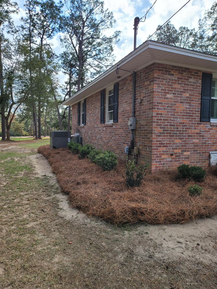 Professional Grounds Management - St Petersburg Information