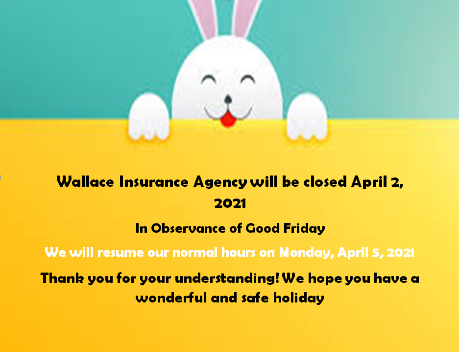 Wallace Insurance Agency - Mineral Wells Assistance