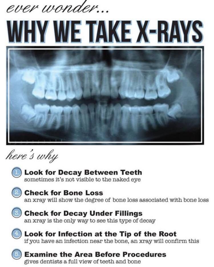 Kitchener Dentist Lancaster Dental - Kitchener Webpagedepot
