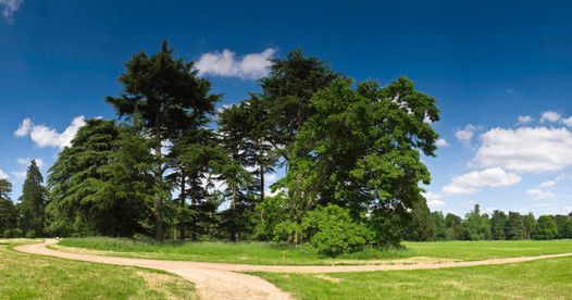 Aurora Healing Arts Accommodate