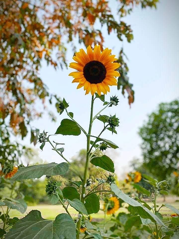 Bagh-e-Jinnah - Lahore Fantastic!