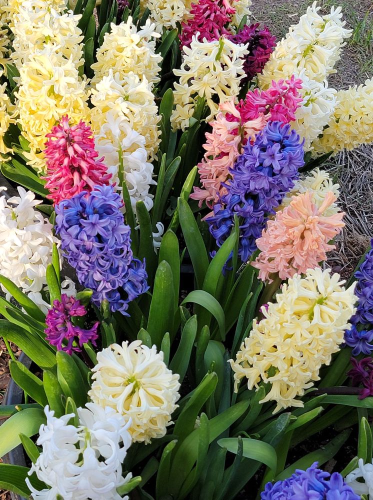 Westside Portland Insurance Company - Hillsboro Information