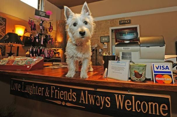 Heritage House Gifts - Lebanon Fabulous!