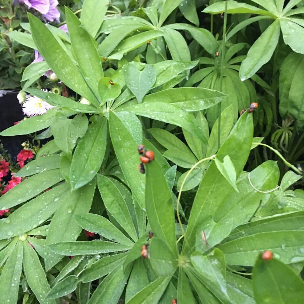 Brenda Motter Interiors LTD - Calgary Fantastic!