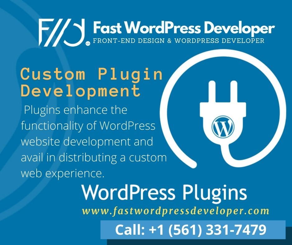 WordPress Website Development Services - Lake Worth Information