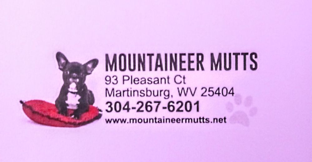 Mountaineer Mutts - Martinsburg Mountaineer