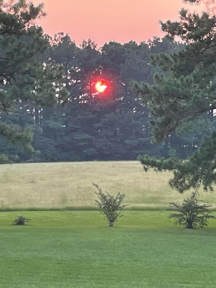 Jackie Calhoun, CLU Insurance - Forest Positively