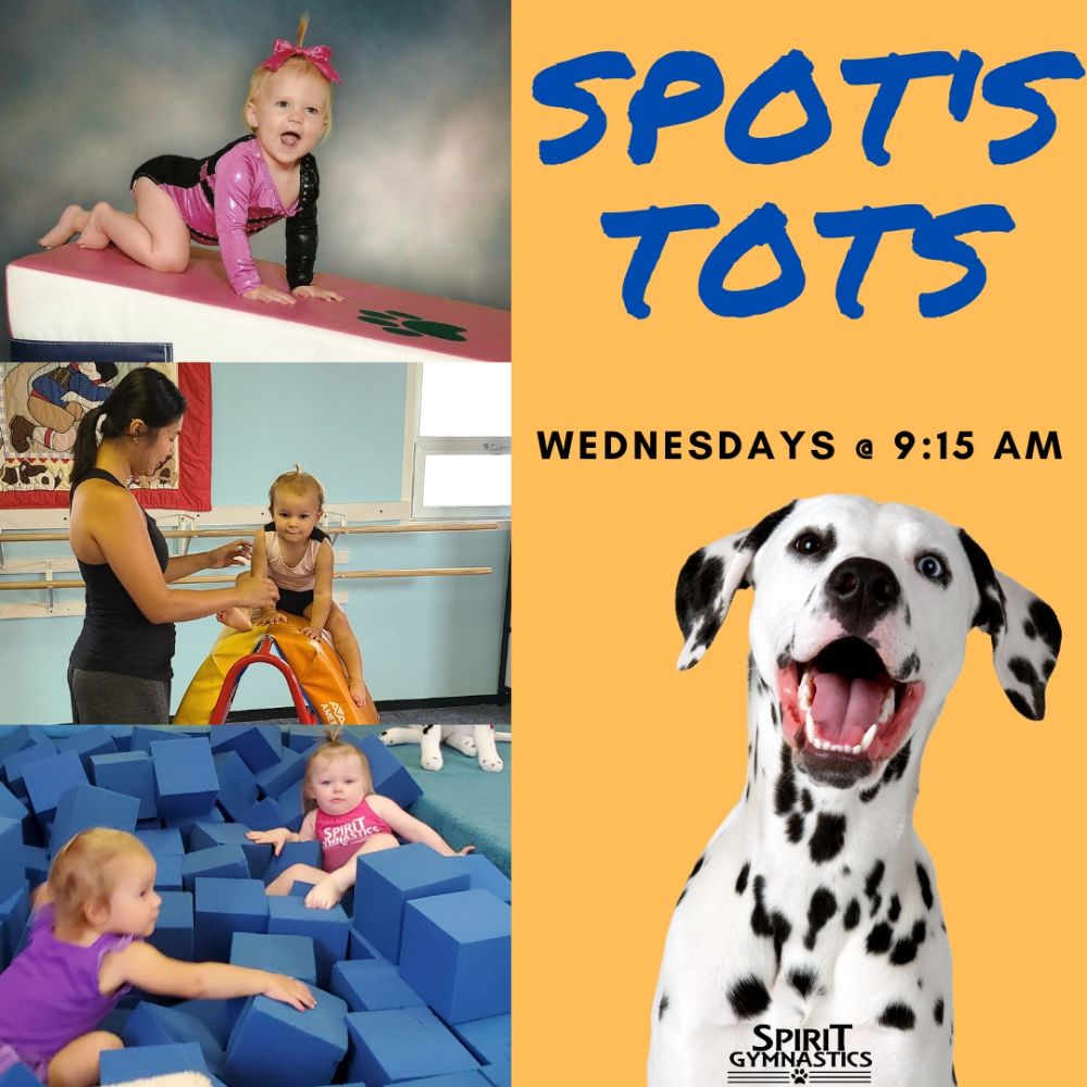 Spirit Gymnastics Training Center - North Wales Accommodate