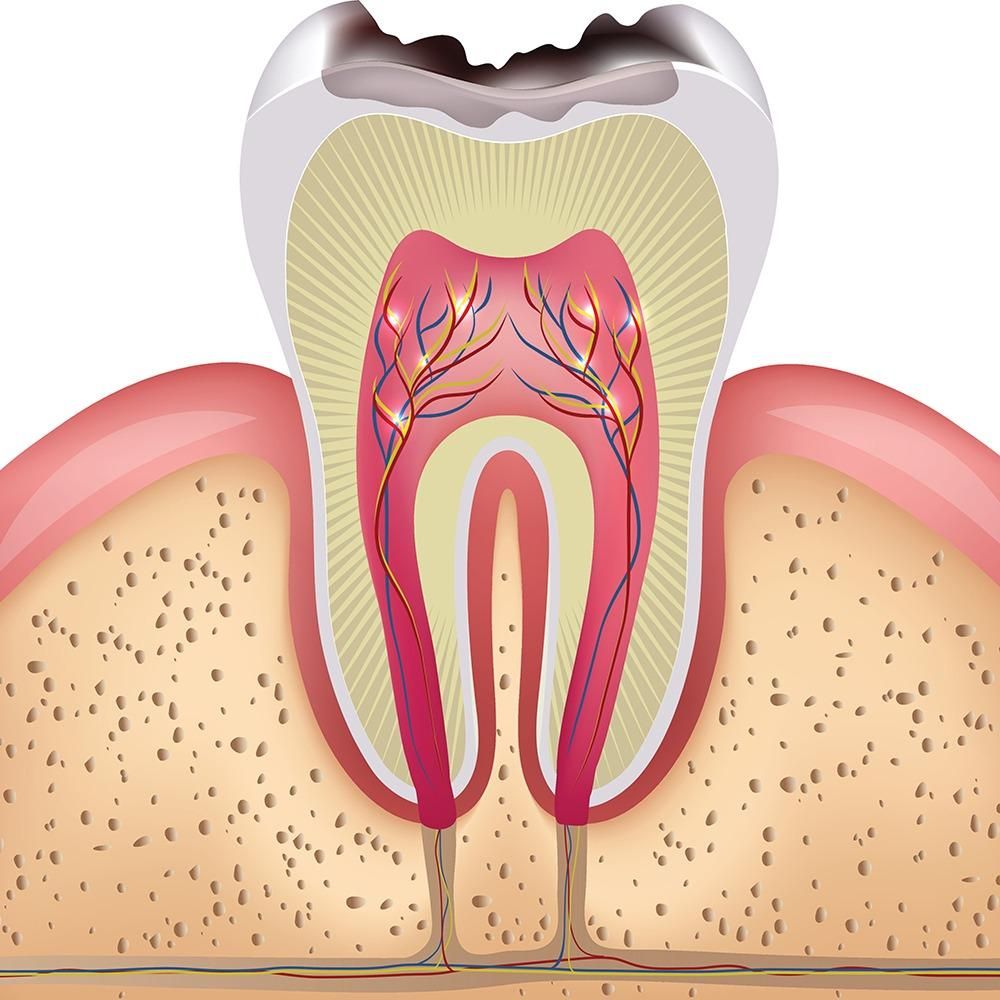 Mark A. DeNigris, DDS - Syosset Hereresearch