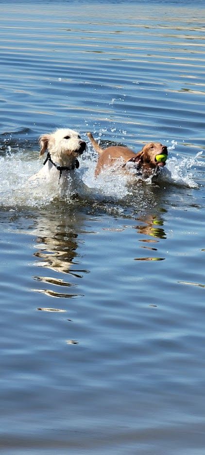 Westside Portland Insurance Company - Hillsboro Informative