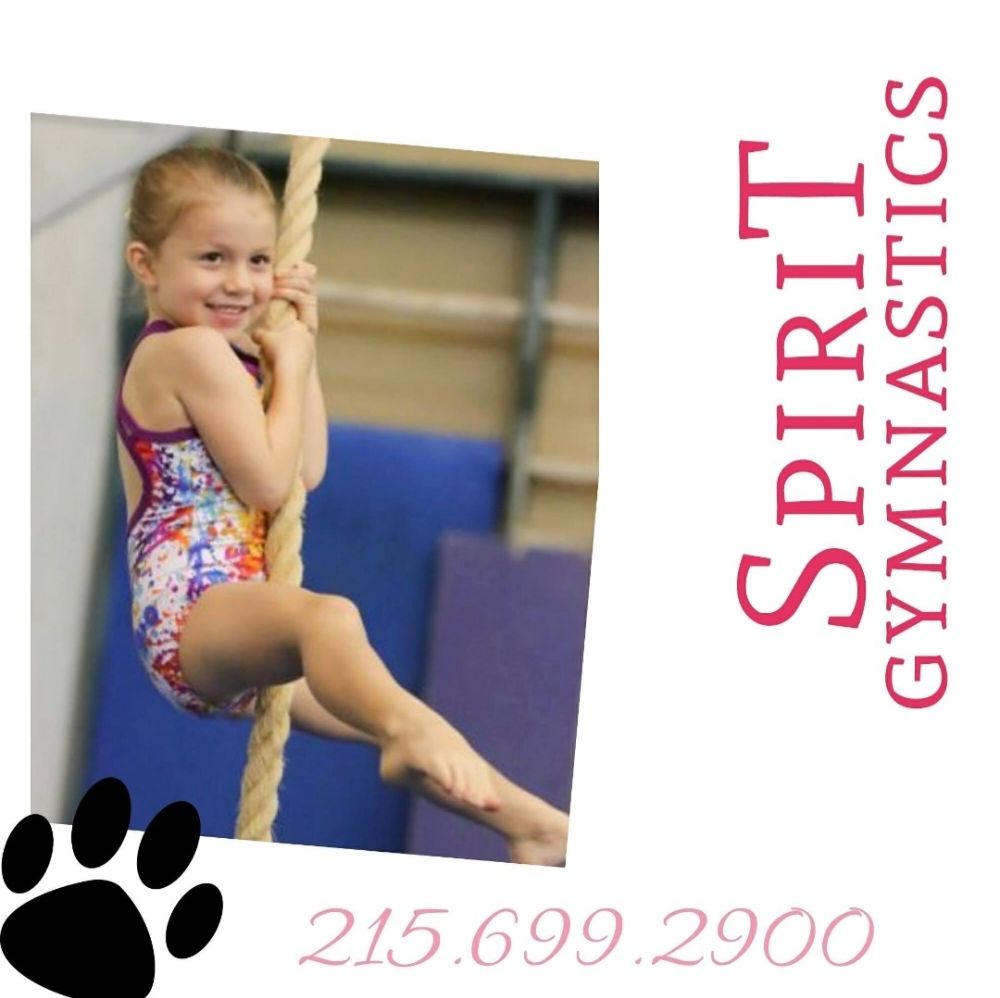 Spirit Gymnastics Training Center - North Wales Information