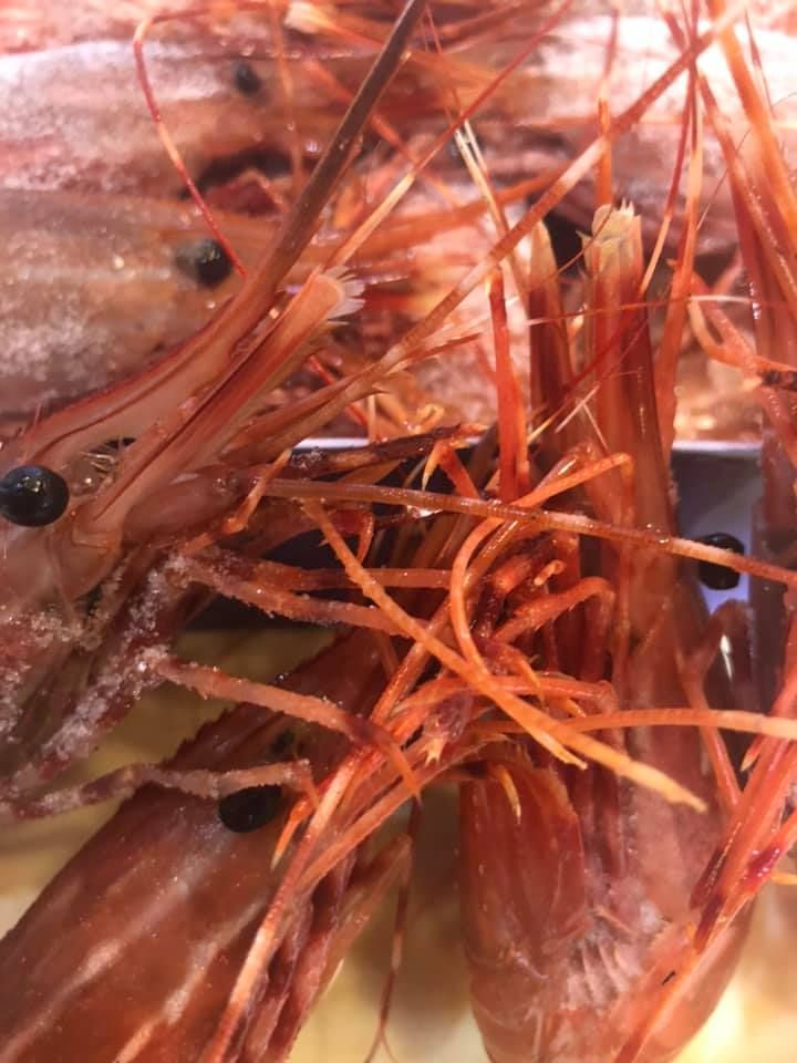 Thai Taco Sushi Bar & Grill Restaurants