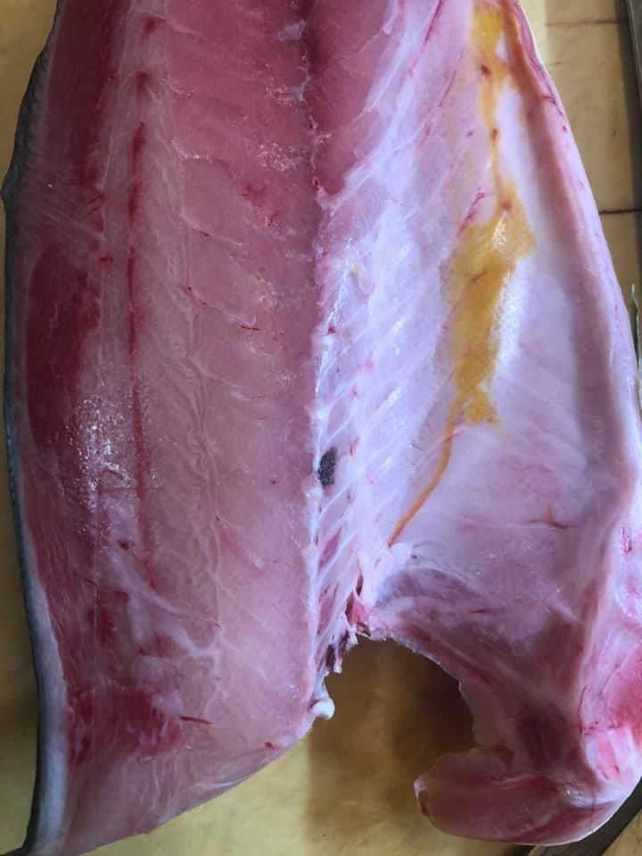 Thai Taco Sushi Bar & Grill Appearance