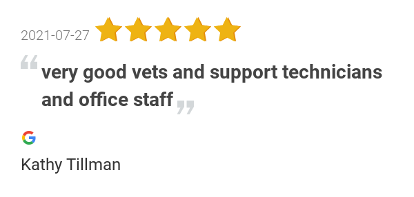 The Village Veterinarian - New York Shared(212)