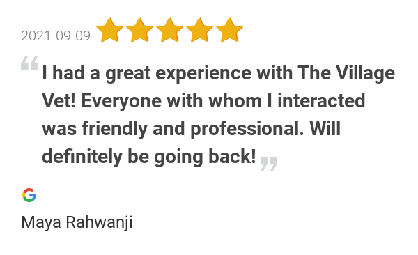 The Village Veterinarian - New York Onlineevent