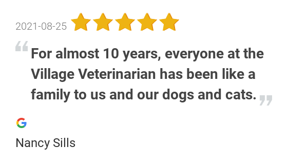 The Village Veterinarian - New York Regulations