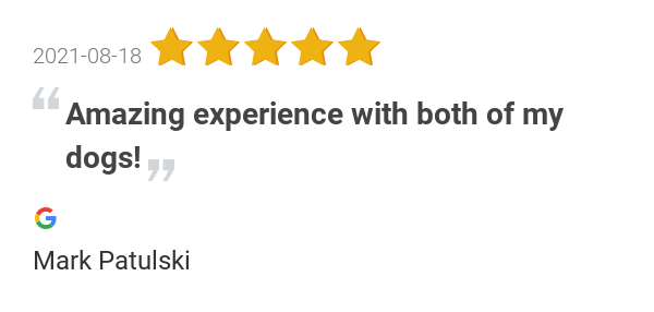 The Village Veterinarian - New York Wheelchairs