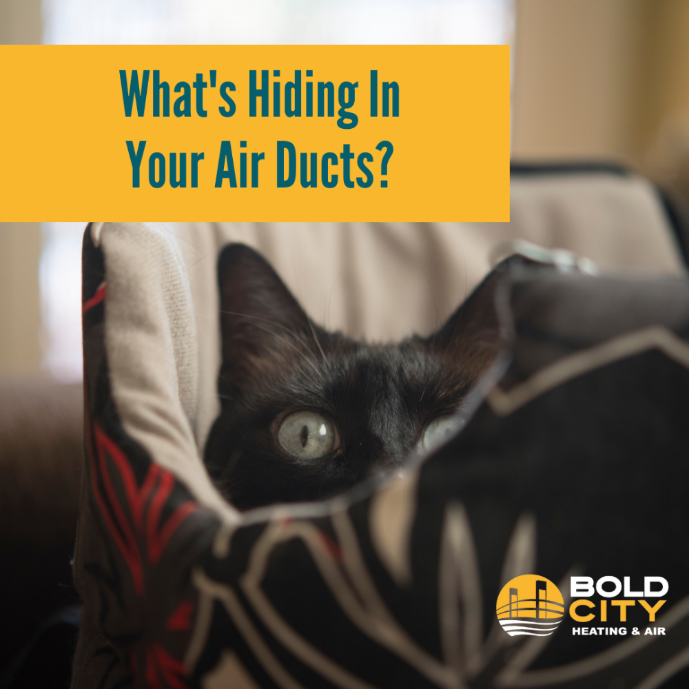 Bold City Heating & Air - Jacksonville Assistance