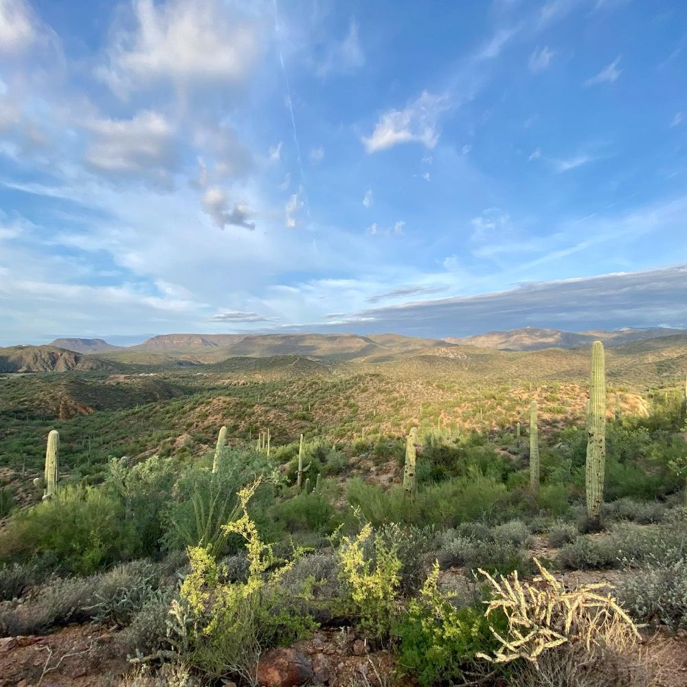 BitBranding - Allen Timeliness