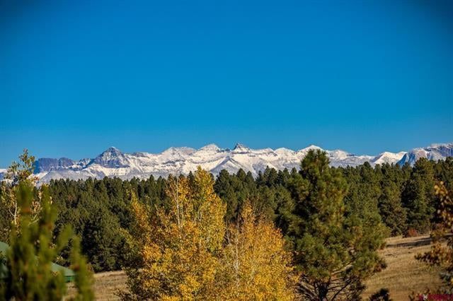 Team Pagosa Realty Group - Pagosa Springs Positively