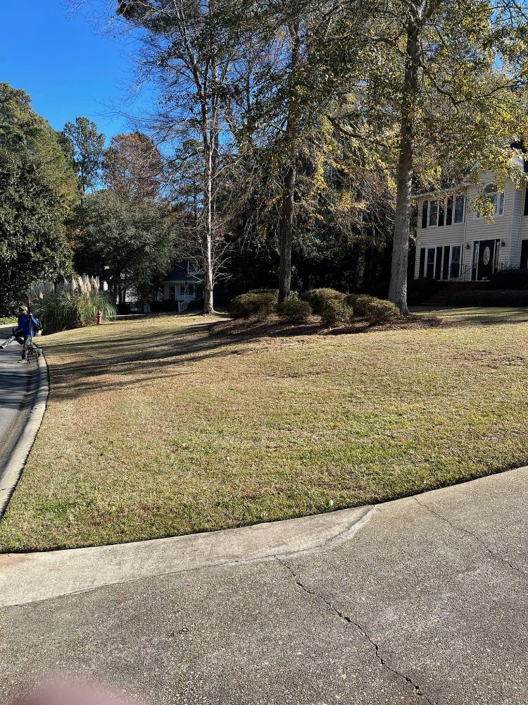 Professional Grounds Management - St Petersburg Fantastic!