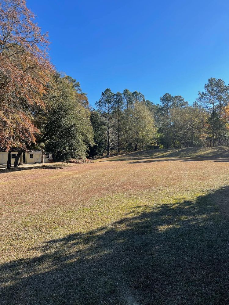 Professional Grounds Management - St Petersburg Management