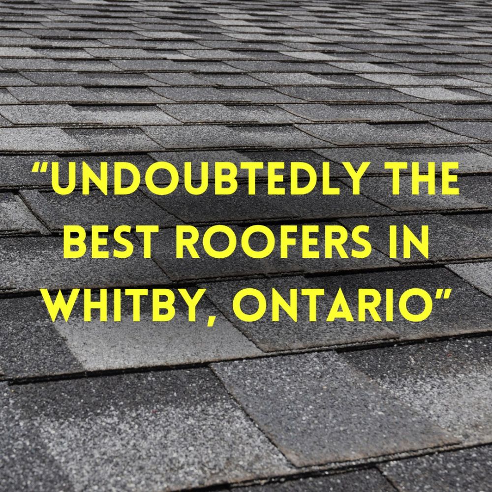 C.D. Roofing & Construction Ltd. - Whitby Accommodate