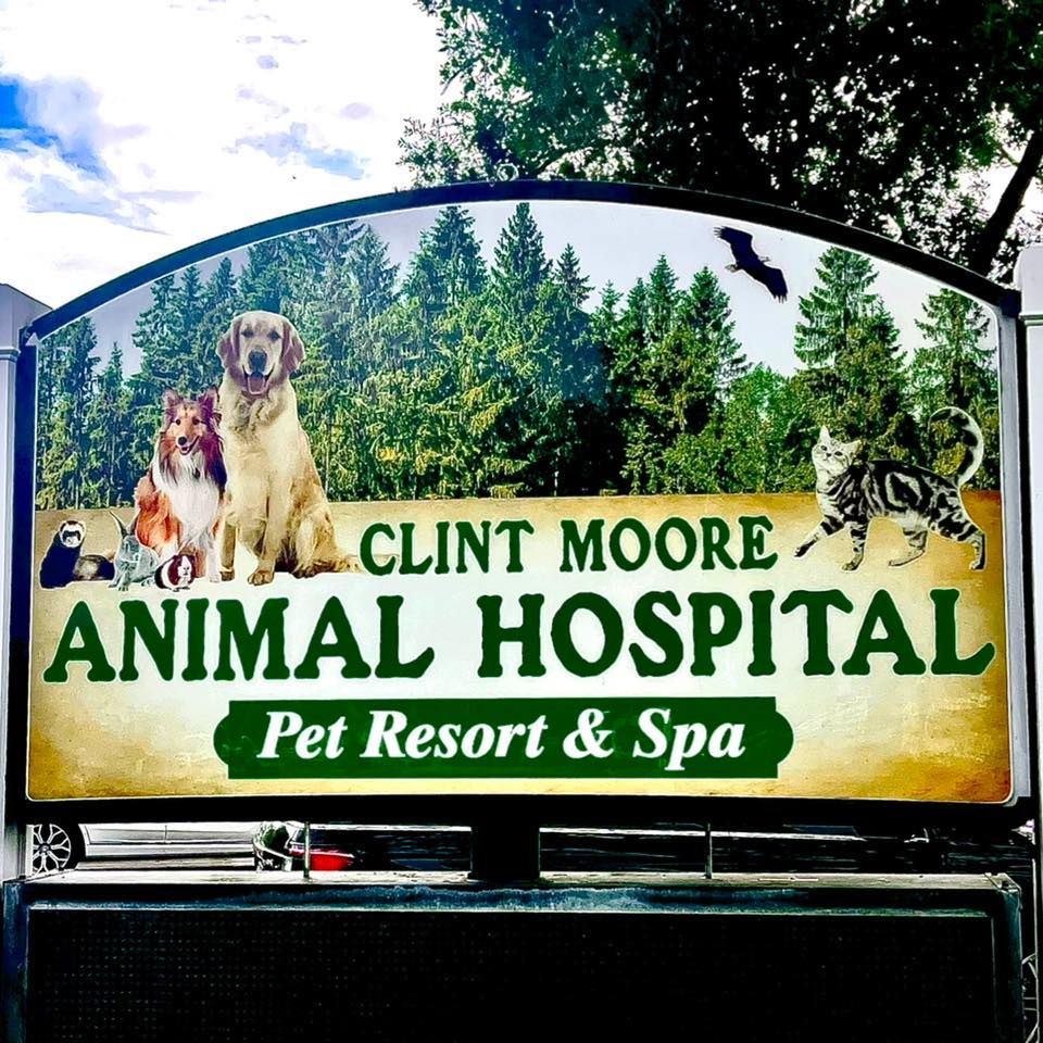Clint Moore Animal Hospital - Boca Raton Webpagedepot