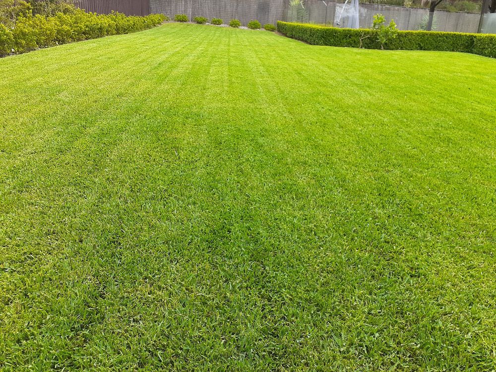 Morrison Property Maintenance & Landscape Group - Fowlerville Information