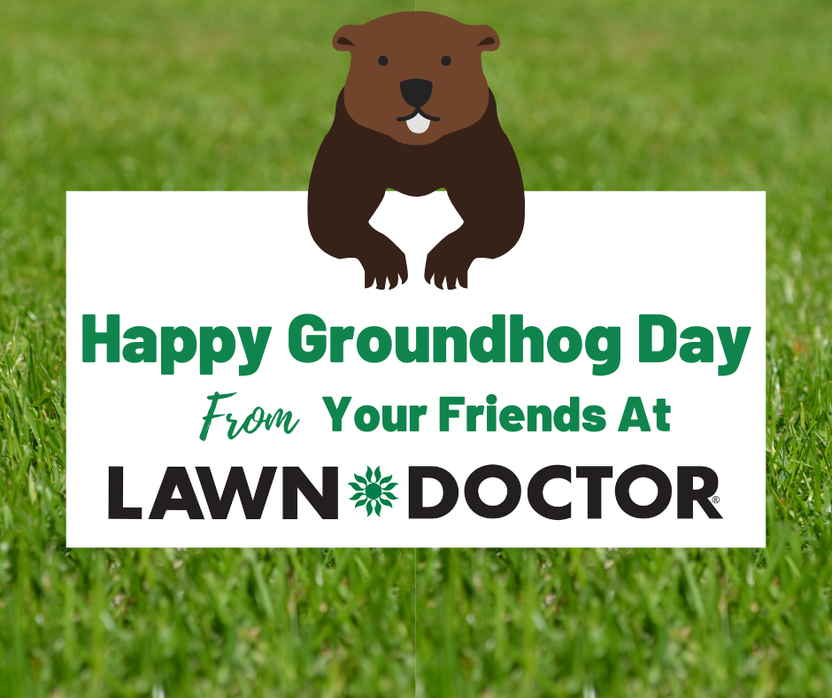 Lawn Doctor - Bellefonte Cleanliness