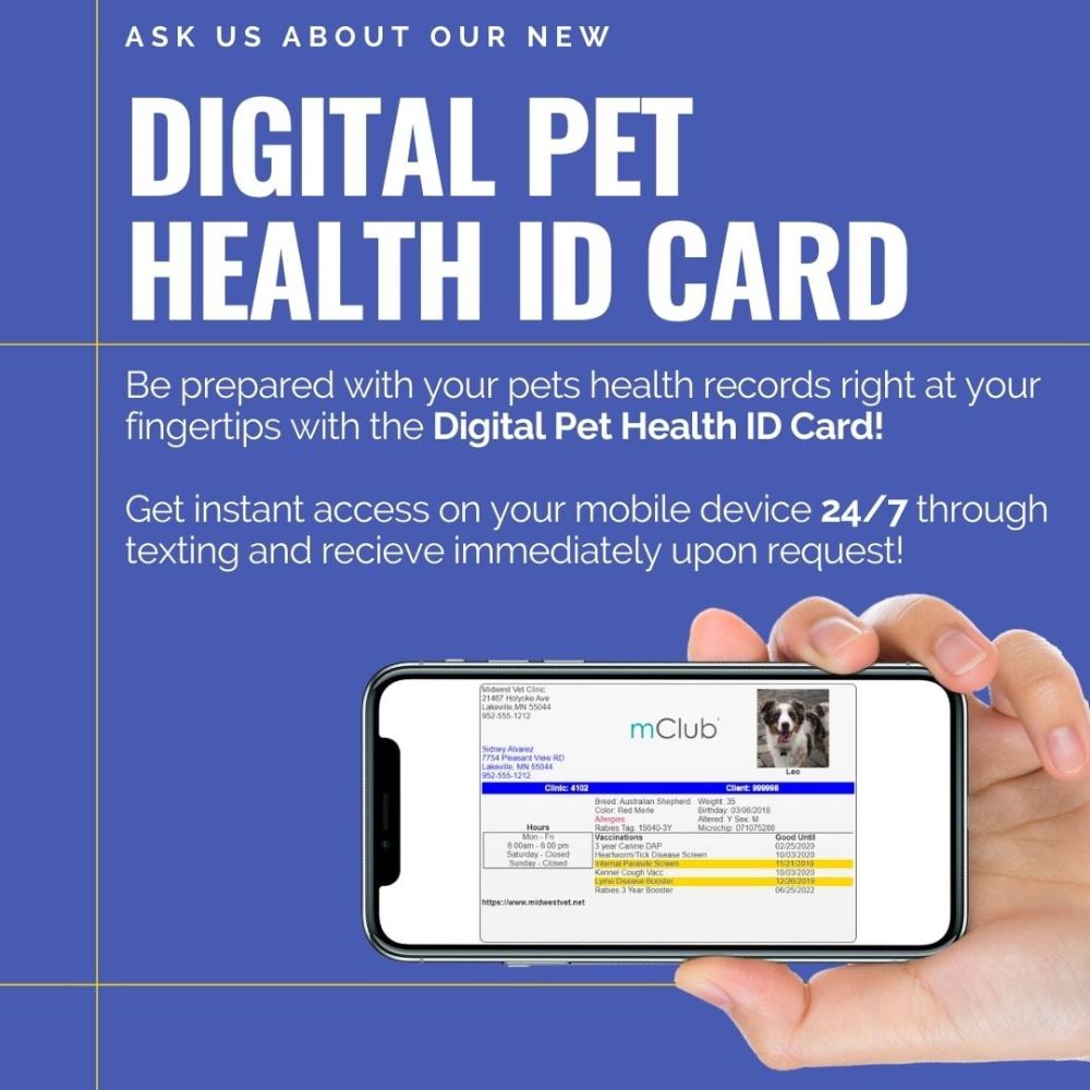 Valley Dog and Cat Hospital Owings Mills Service Pet Grooming