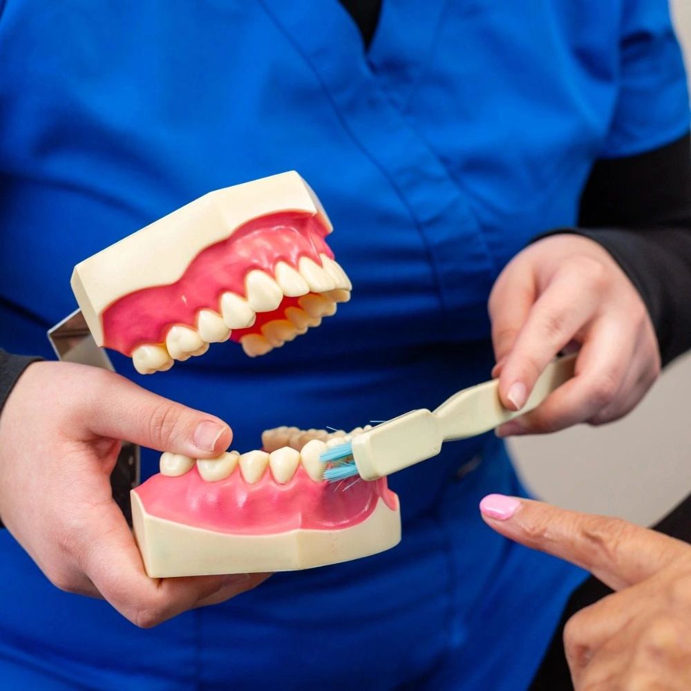 Philip C Roach, DDS - Fort Wayne Wheelchairs