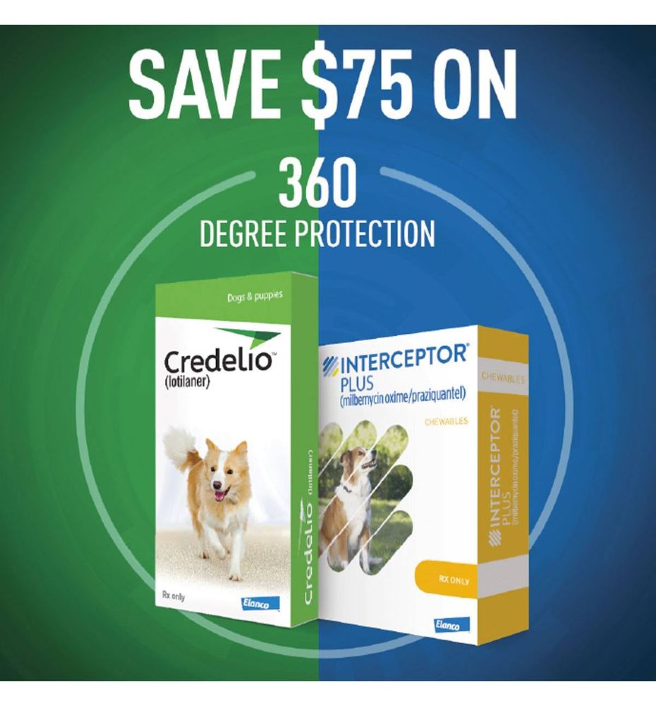 Valley Dog and Cat Hospital - Owings Mills Positively