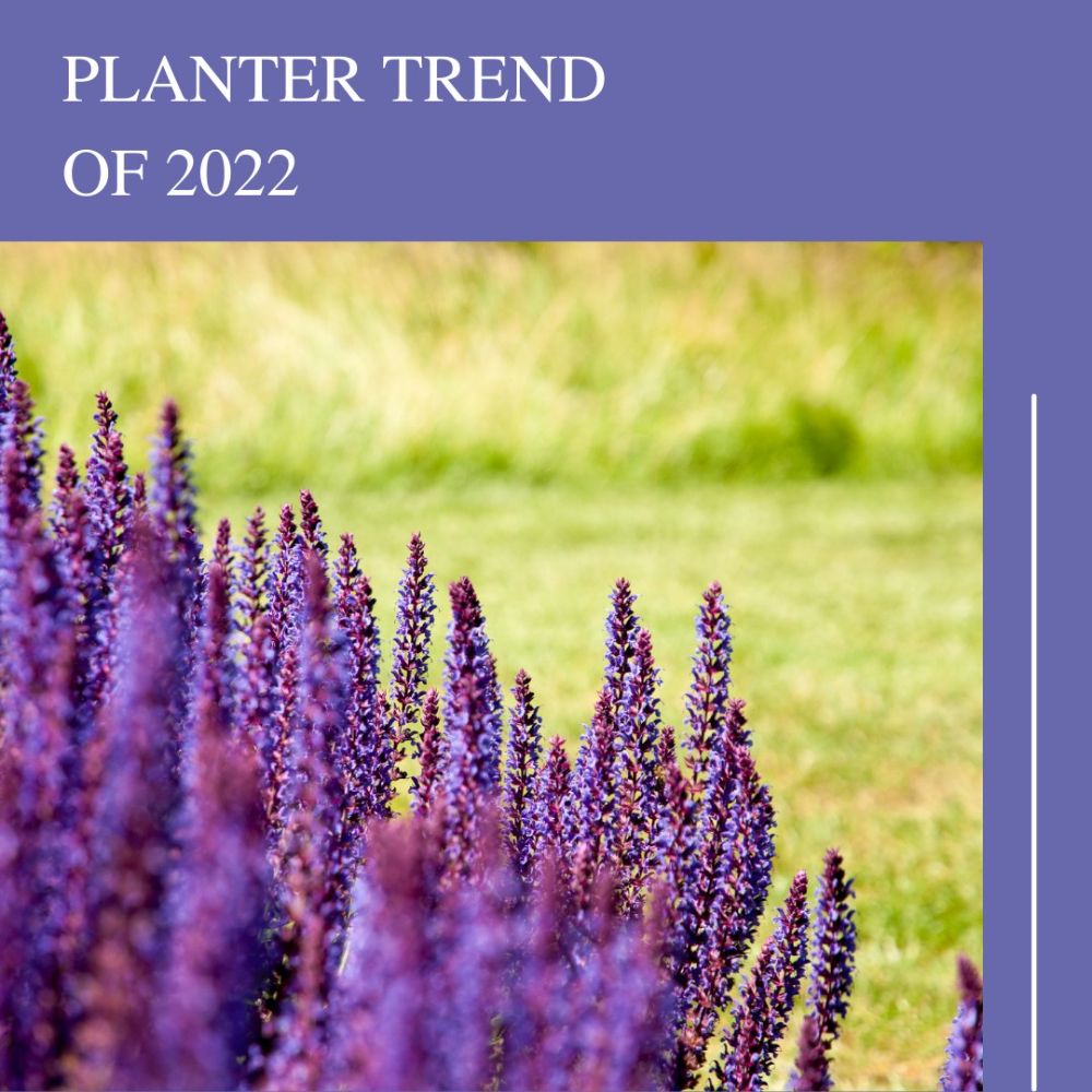 Planter Resource Inc - New York Slider 7