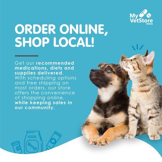 Valley Dog and Cat Hospital Owings Mills Service Pet Grooming