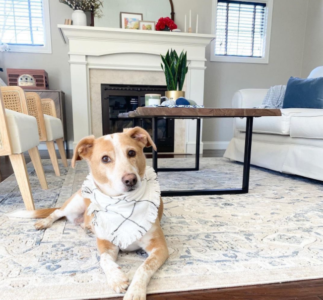 Carpet Depot - Costa Mesa Timeliness