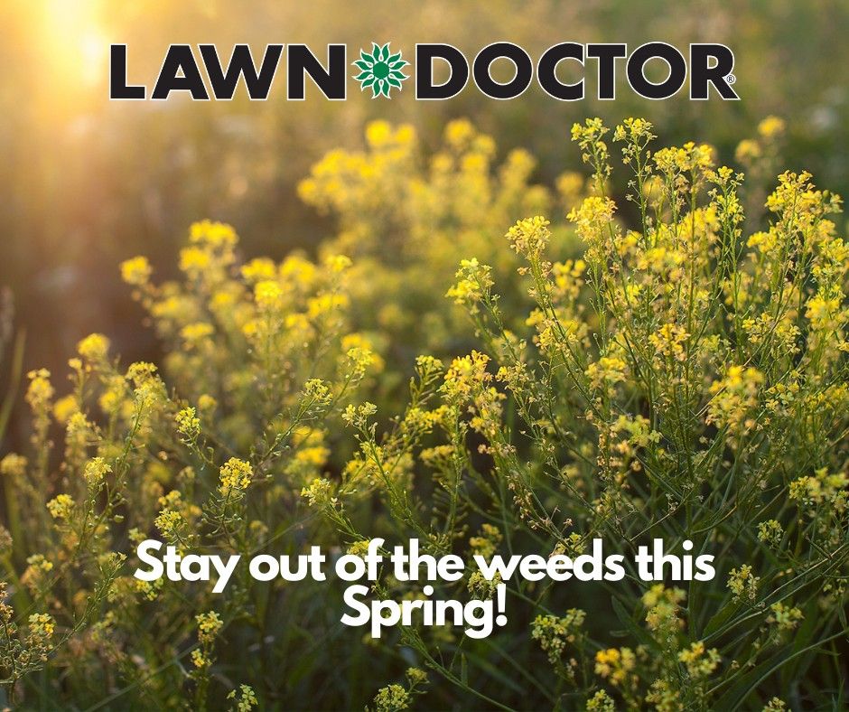 Lawn Doctor - Bellefonte Thumbnails