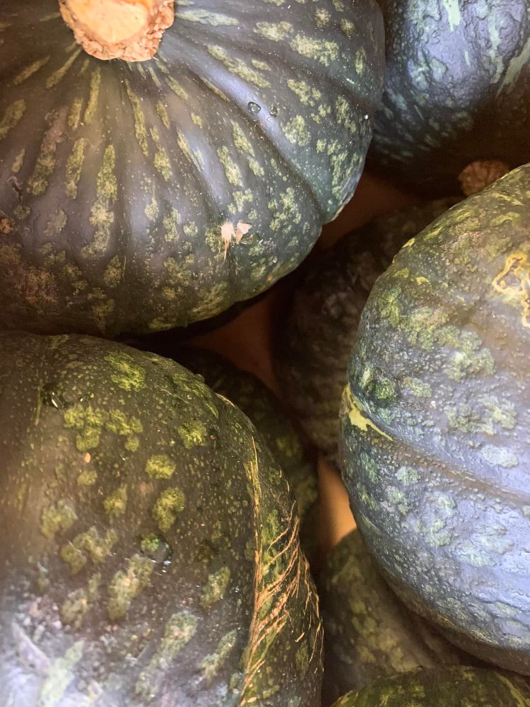 Elena's Manila Asian Market - Russell Fantastic