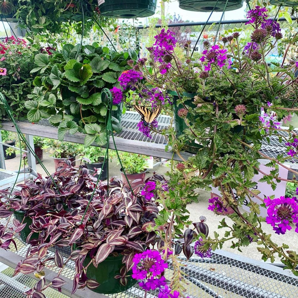 C & W Hardware True Value - Dawsonville Information