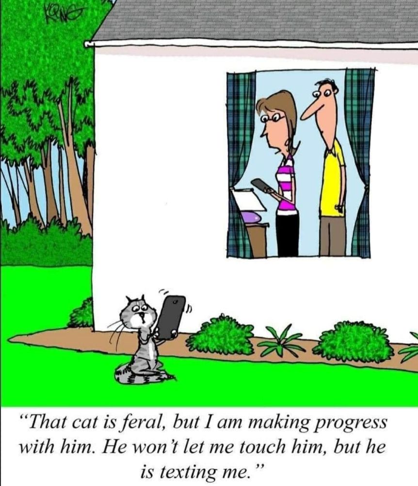 Cat-A-Holic Cats Thumbnails