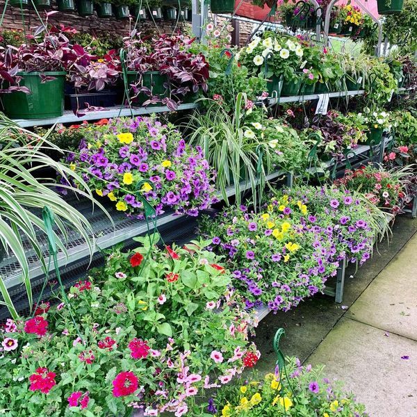 C & W Hardware True Value - Dawsonville Atmosphere