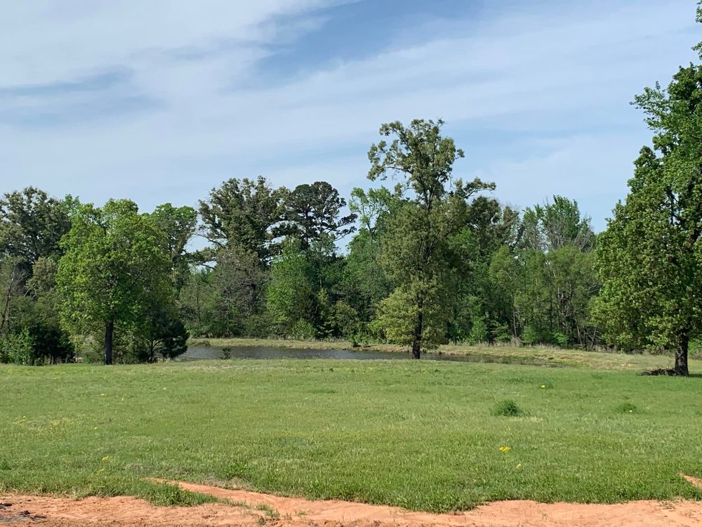 Warner Services - Canton Reasonably