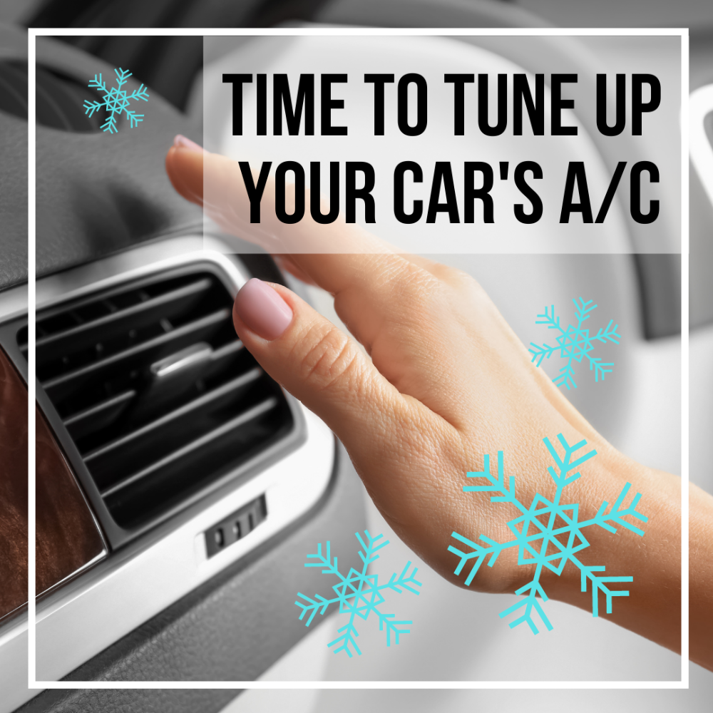 Klippenstein Service Inc - Ridgetown Accommodate