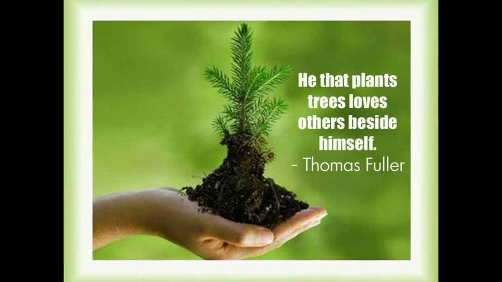 Lee's Heating and Air Conditioning - Salt Lake City Conditioning